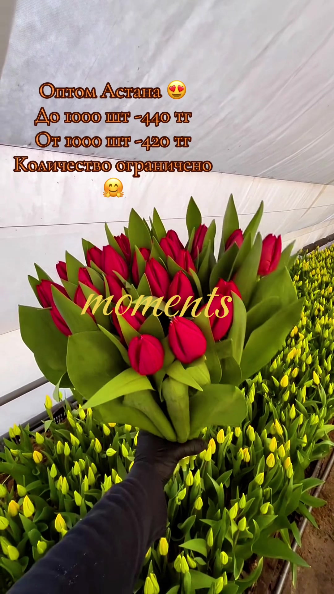 @grand_flowerskz