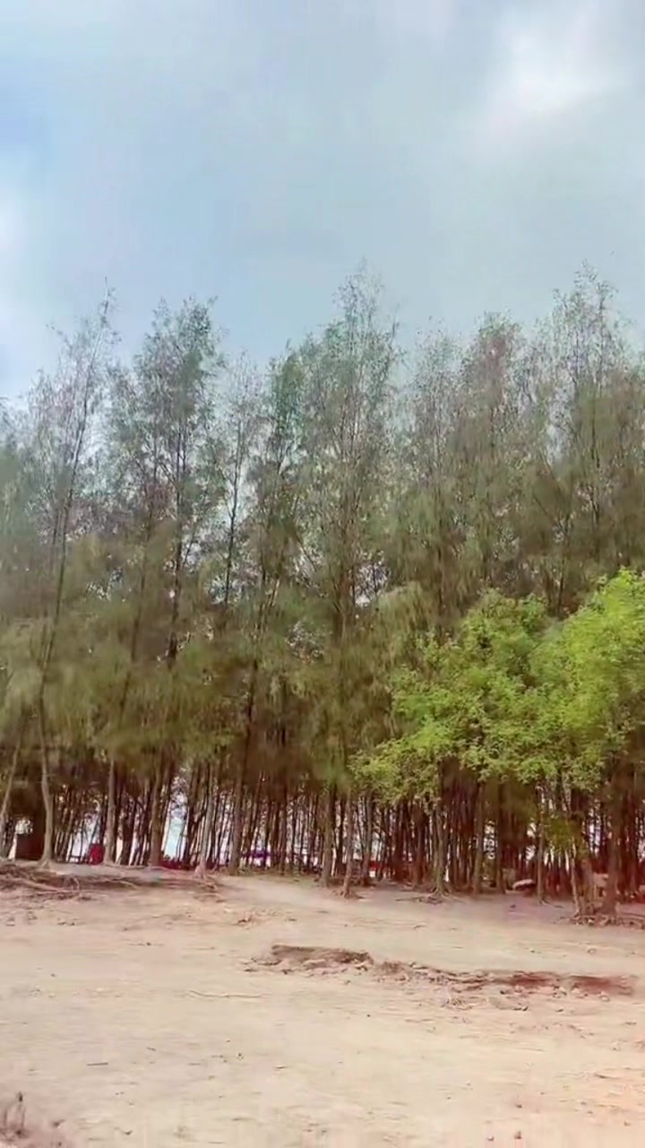 @☆꧁🧡পরী🧡꧂☆