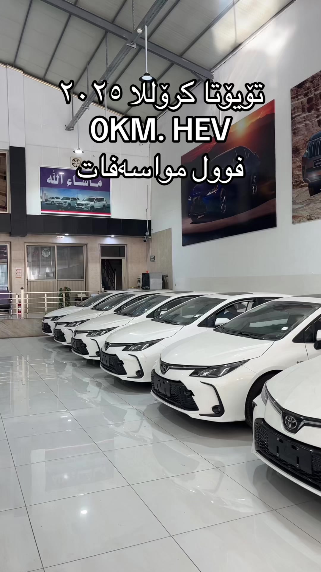 @شرکە سامان ابراهیم محمد