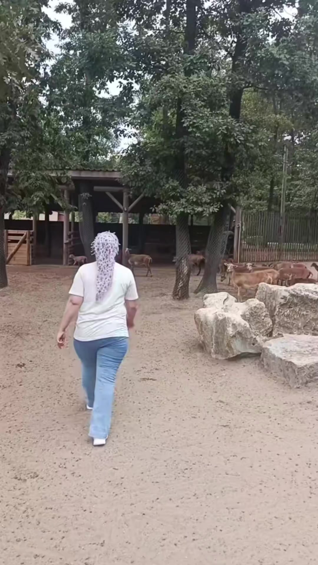 @zeynep göbüt