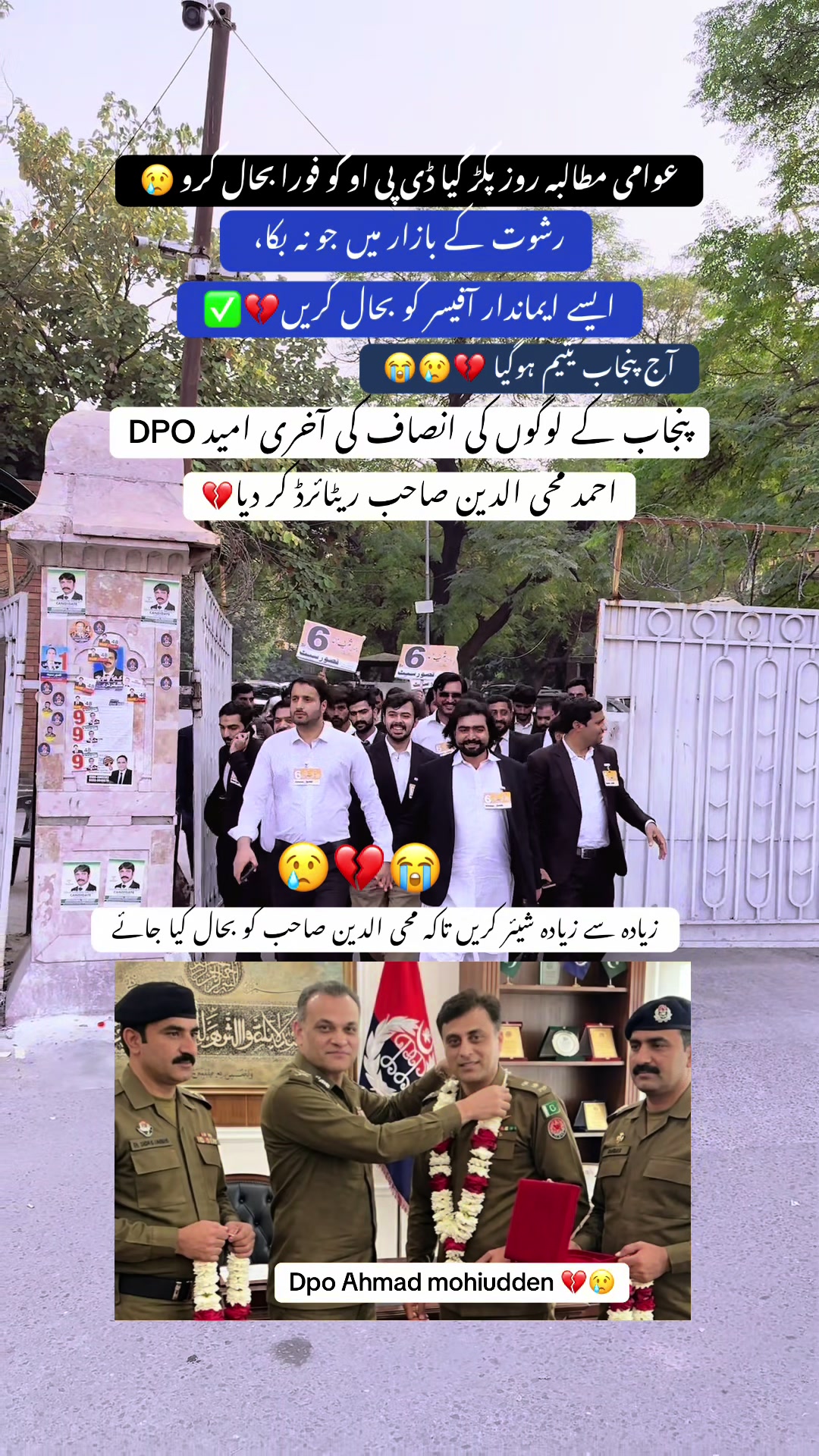 @Ansar Rasheed Advocate