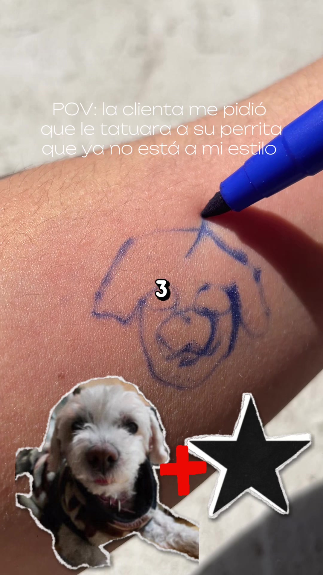 @q.tonta