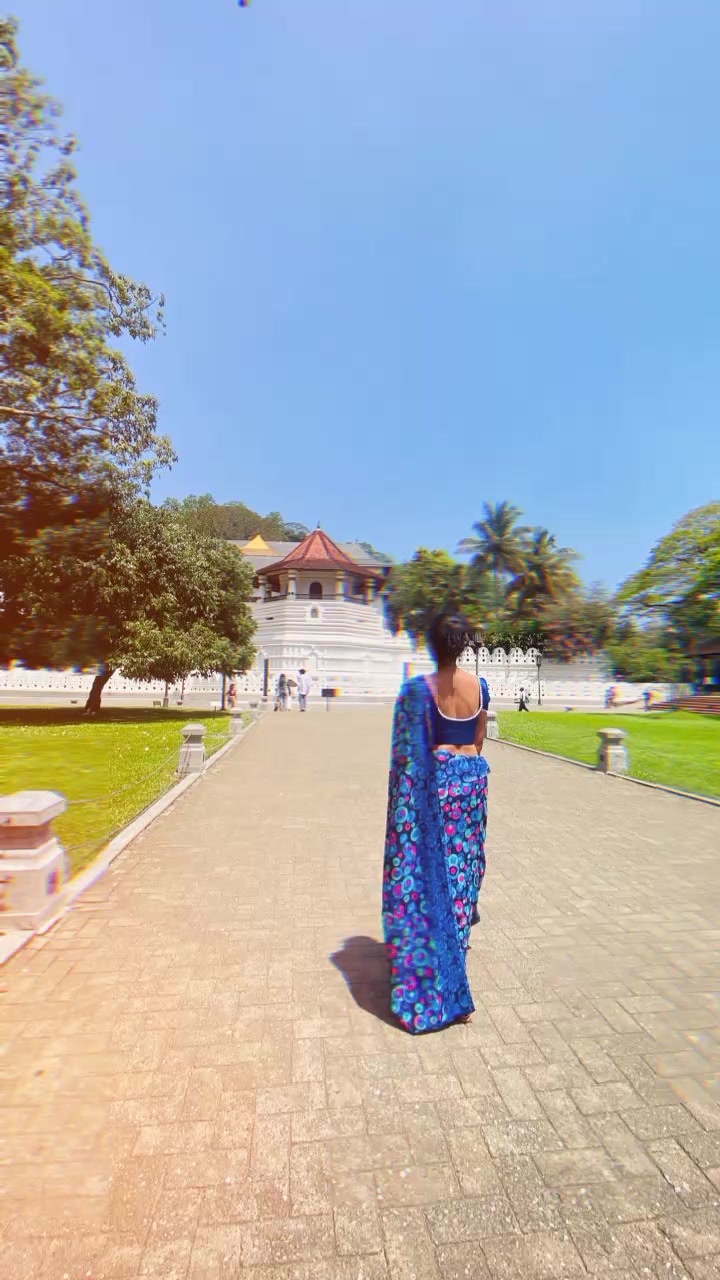 @Vihagi Thakshila🧚&zwj;♀️