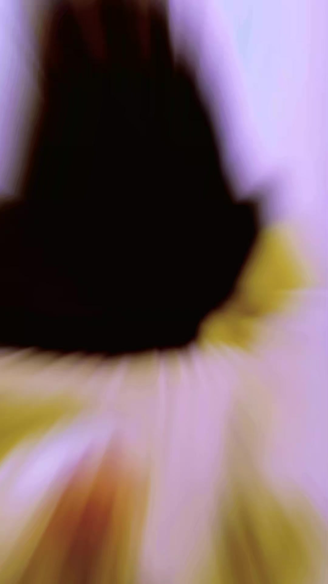 @ɗûřêțî ɗêɗô🔐🫂🍫