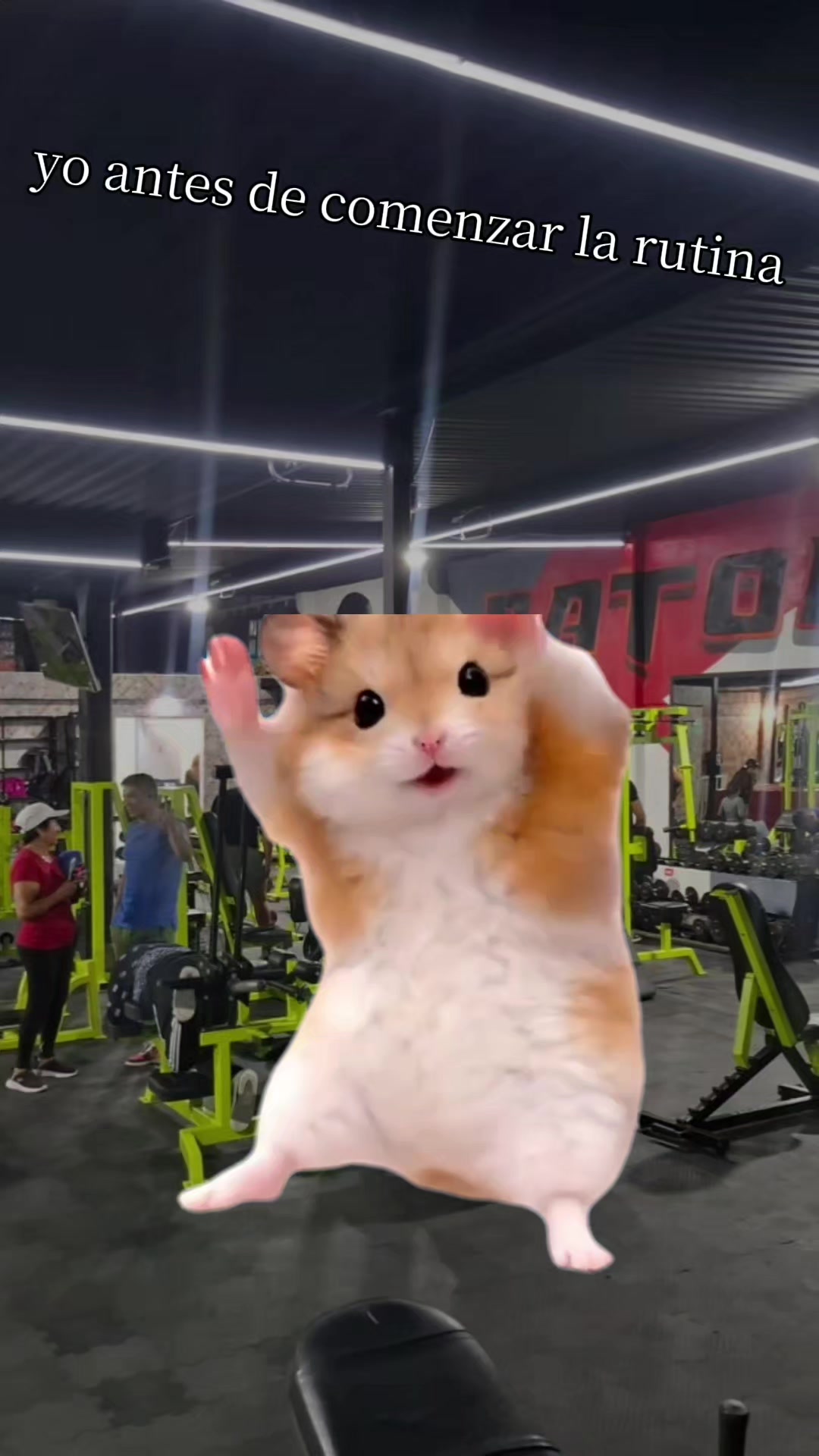 @BatorGym#1