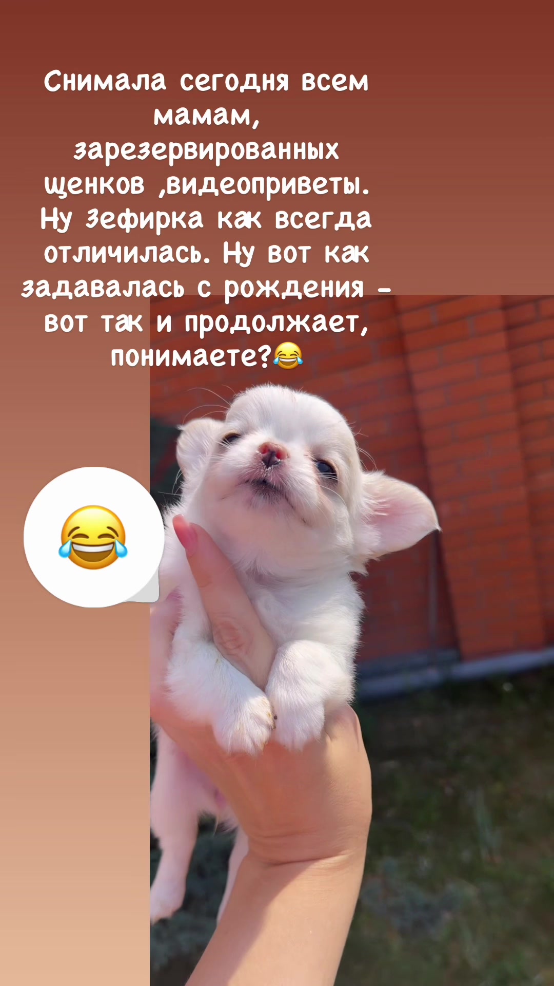 @skarb_palessya