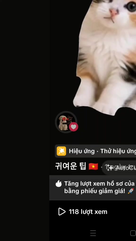 @....