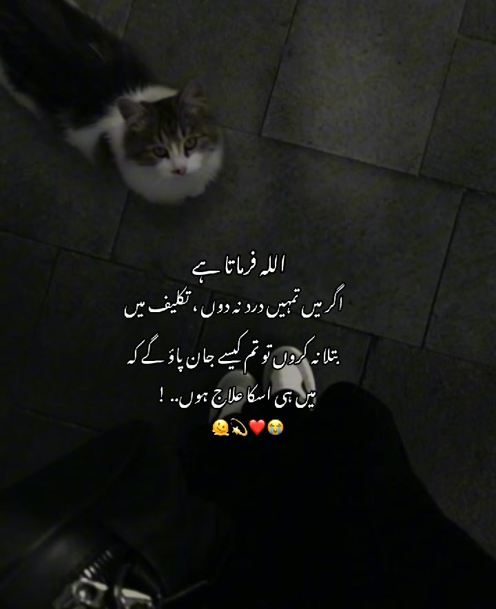 @⋆.˚ ׅ꯱ꫀׁׅܻ݊ꫀׁׅܻ݊ᘻ&alpha;&szlig; ⋆.˚