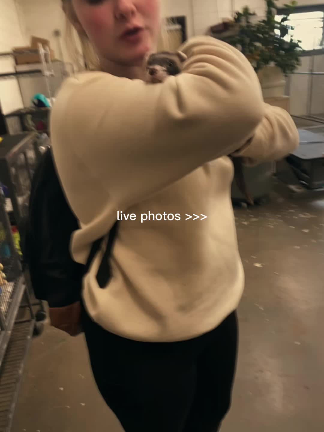 @elaina 🌺