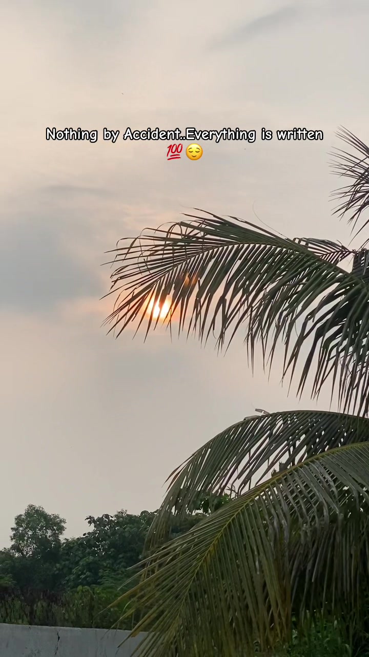 @เฎน||๐ชท๐ช๐ฆ
