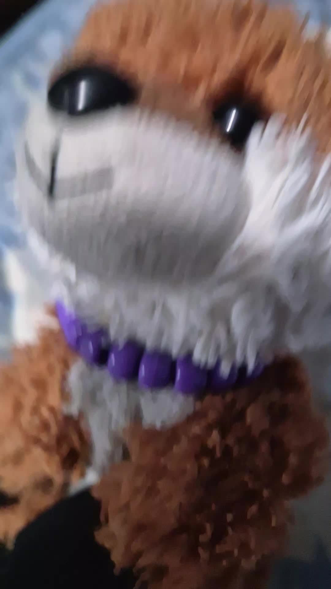 @Queen_beezlebub