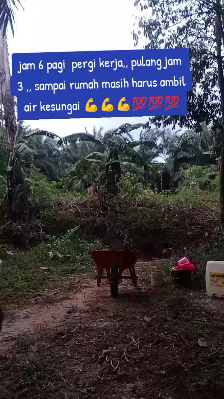 @wulandari