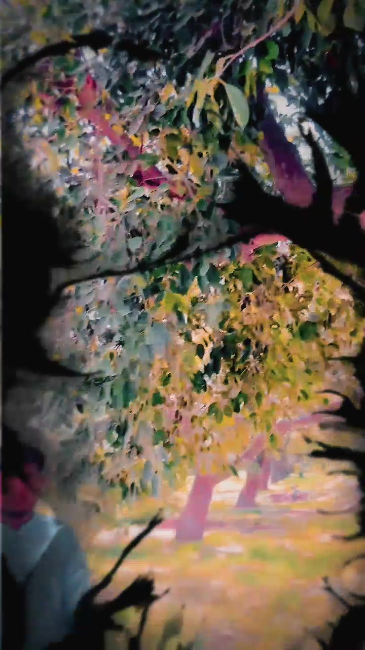 @ÛżۍŘ_Bäلōچħ010