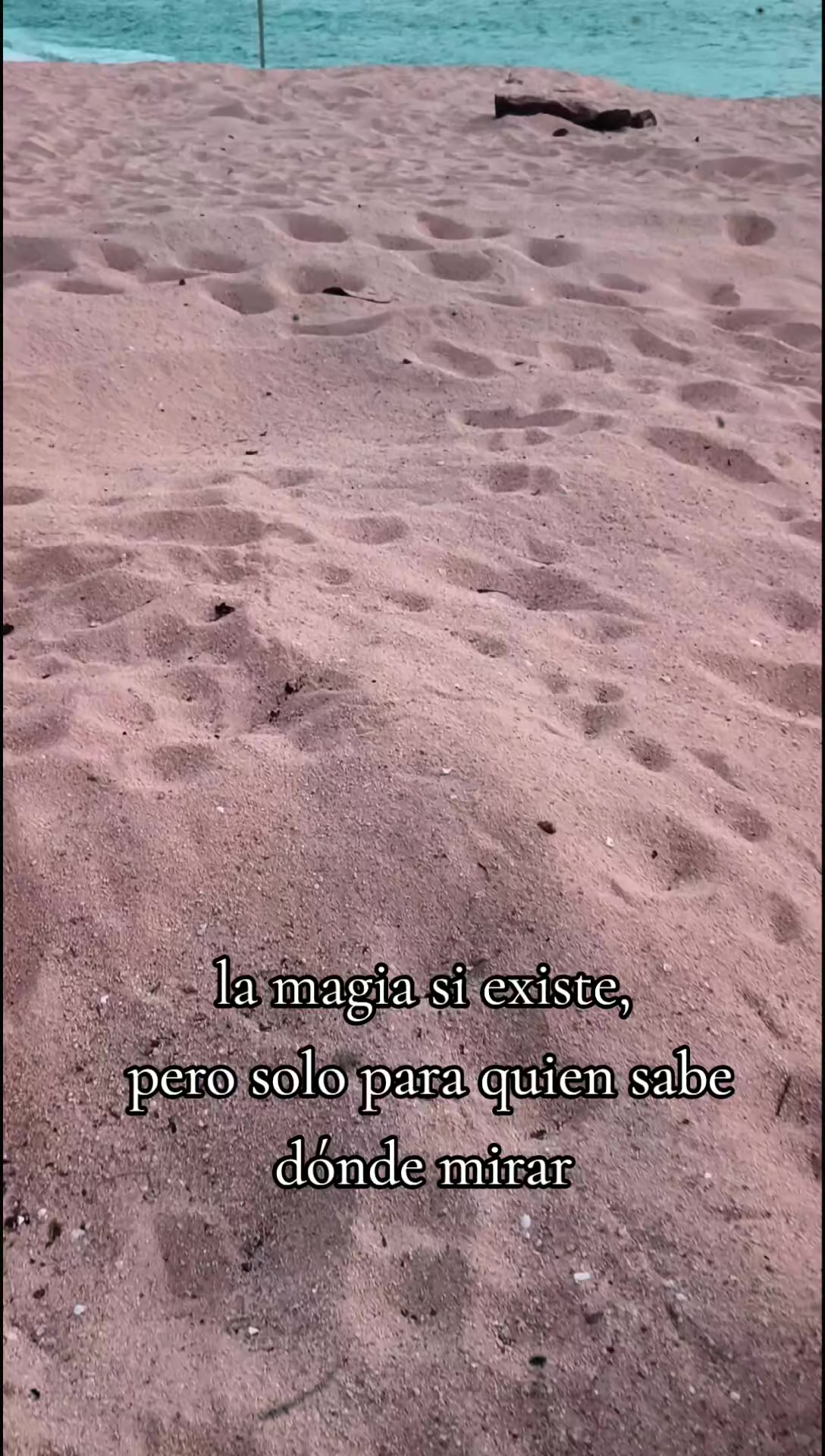 @neryzmar