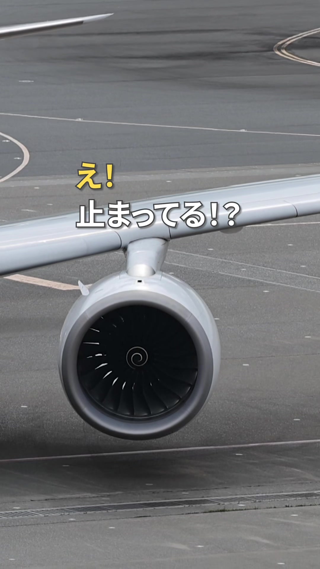 @Skyline だ〜はね|Haneda Airport ✈️