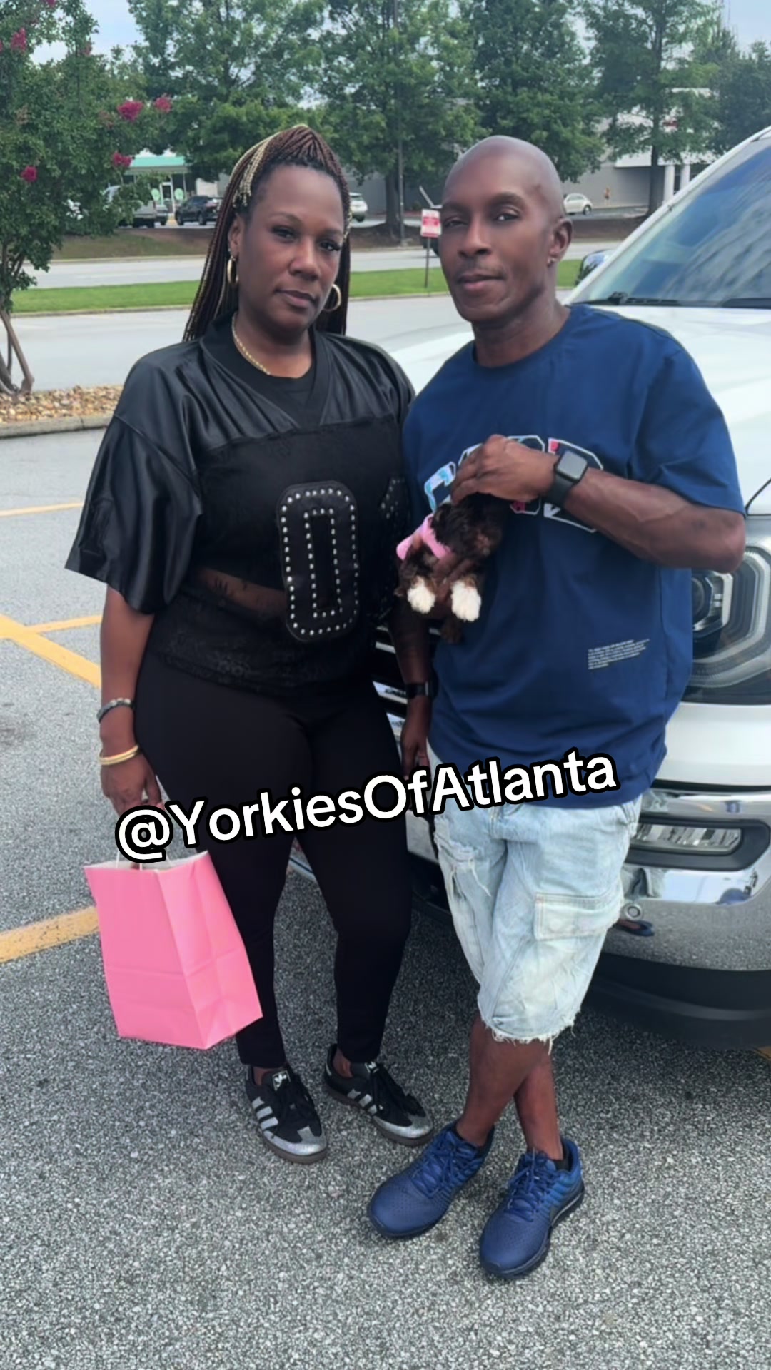 @Yorkies Of Atlanta
