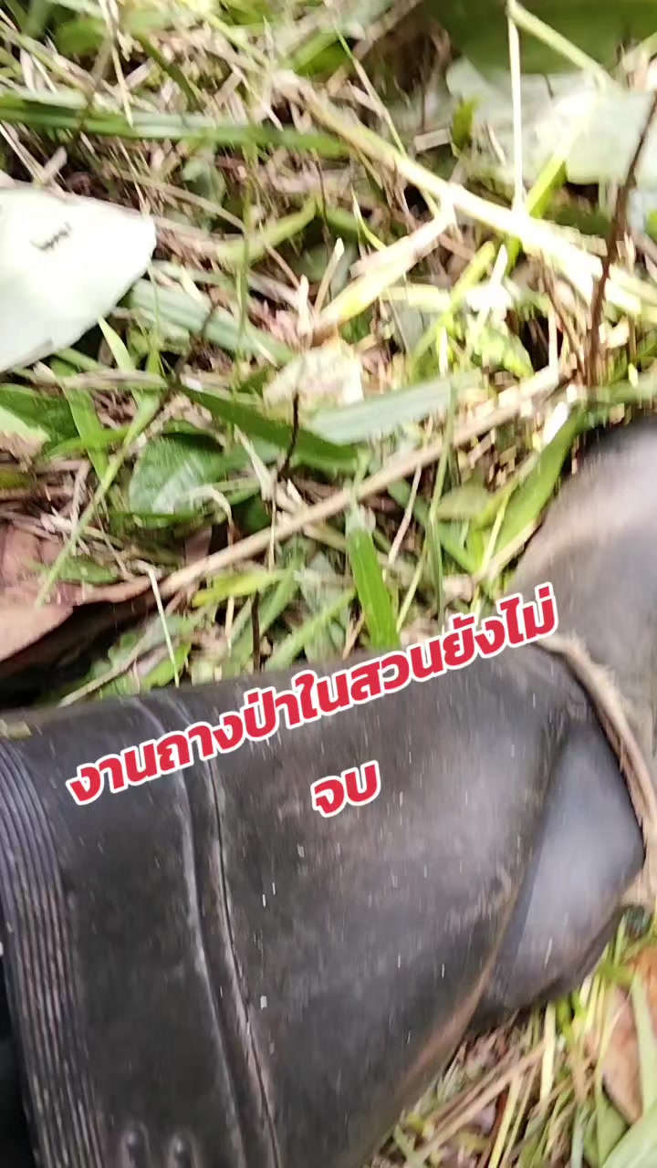 @ซัน(1992)เด็กใต้ป้ายนราฯ