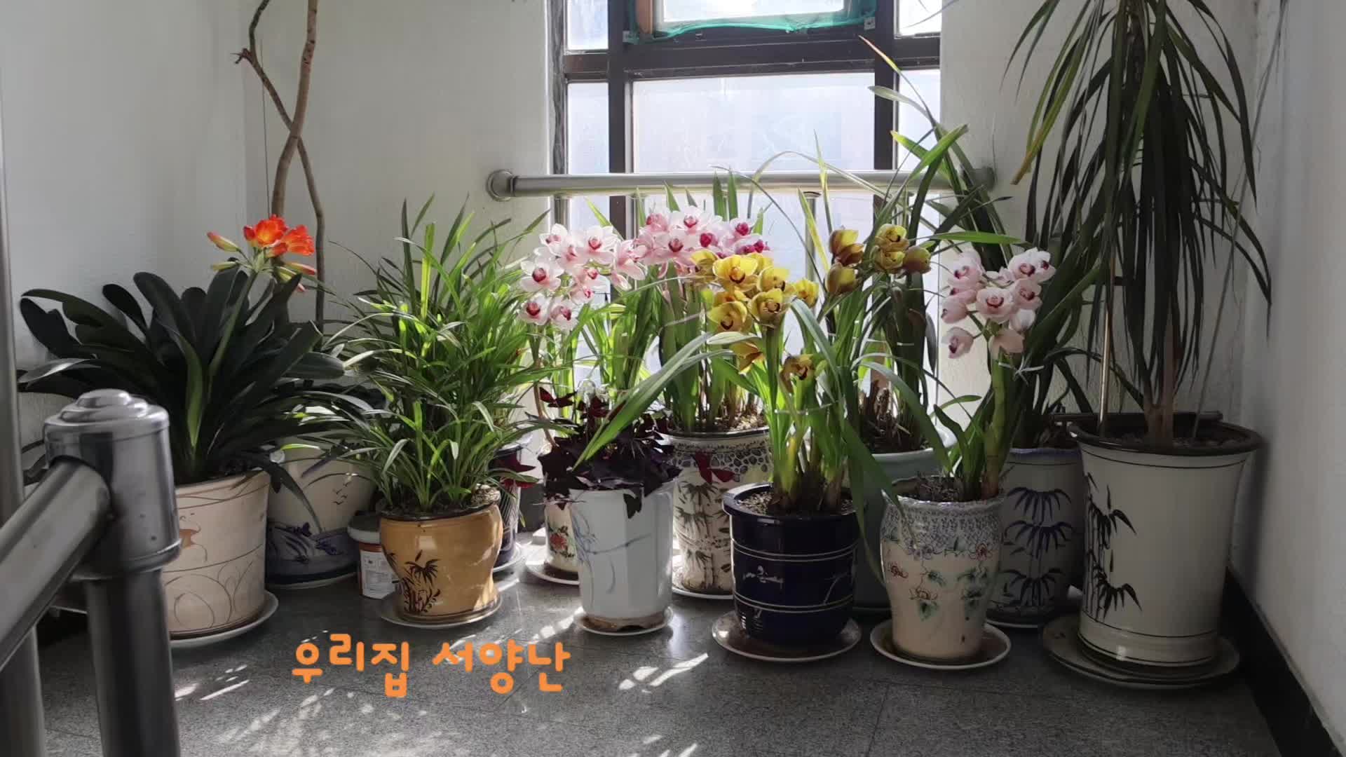 @이상춘