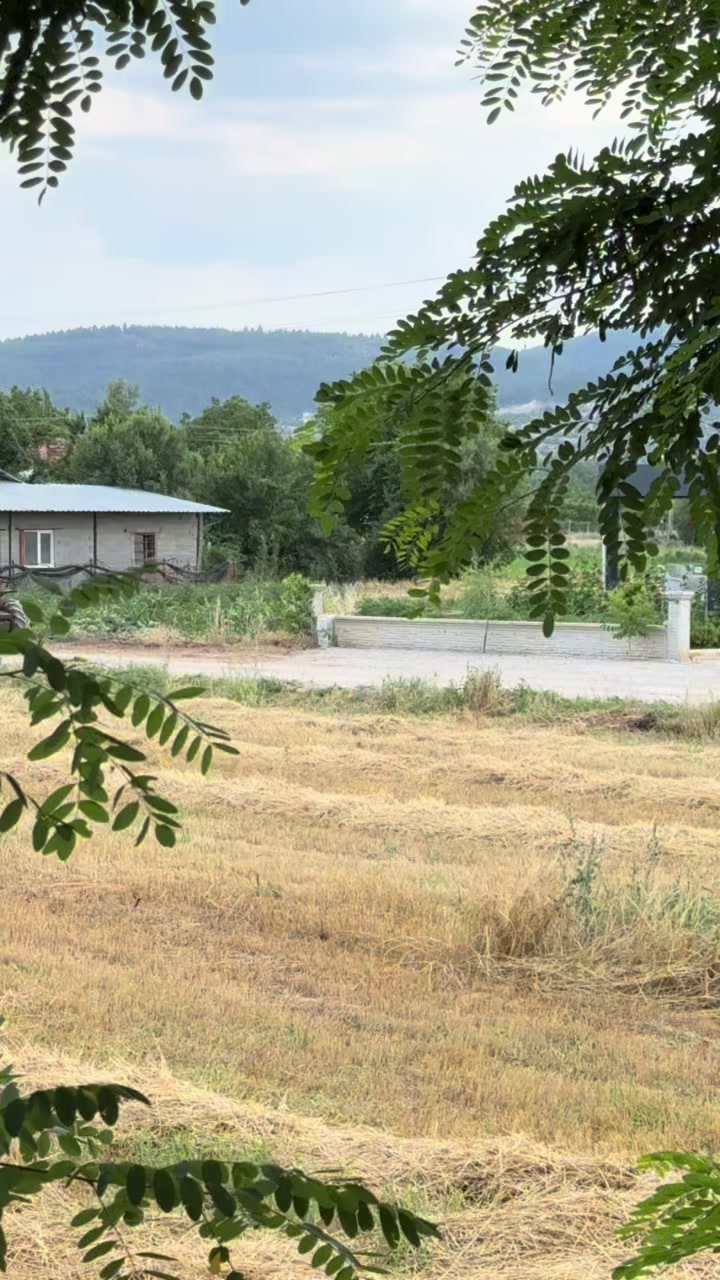 @ŞEREF SARISOY