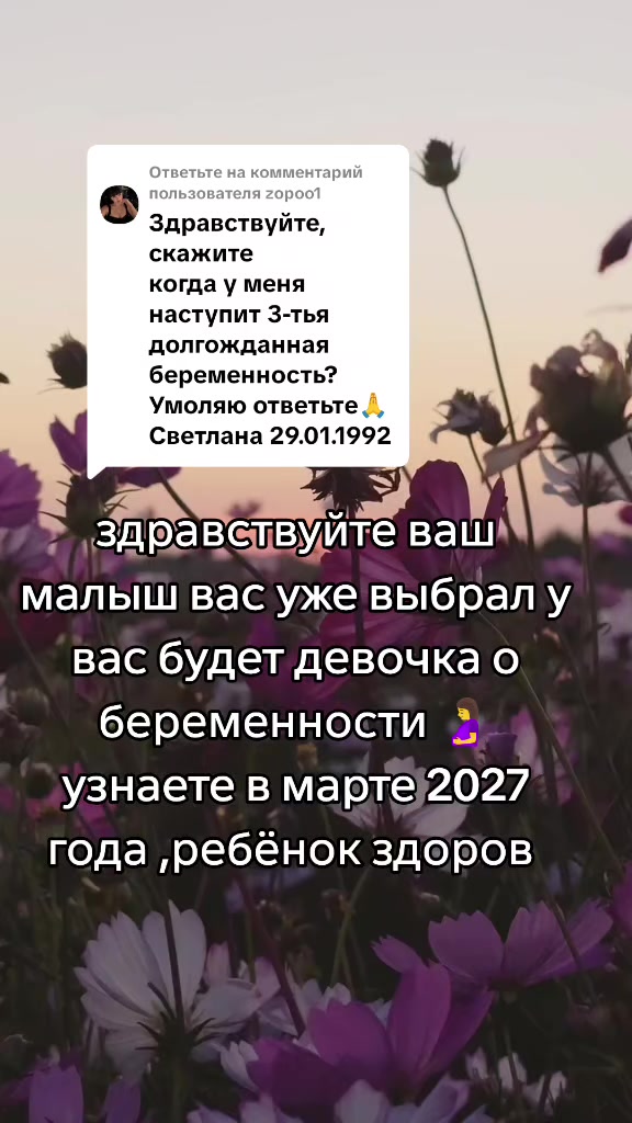 @Tarolog5467