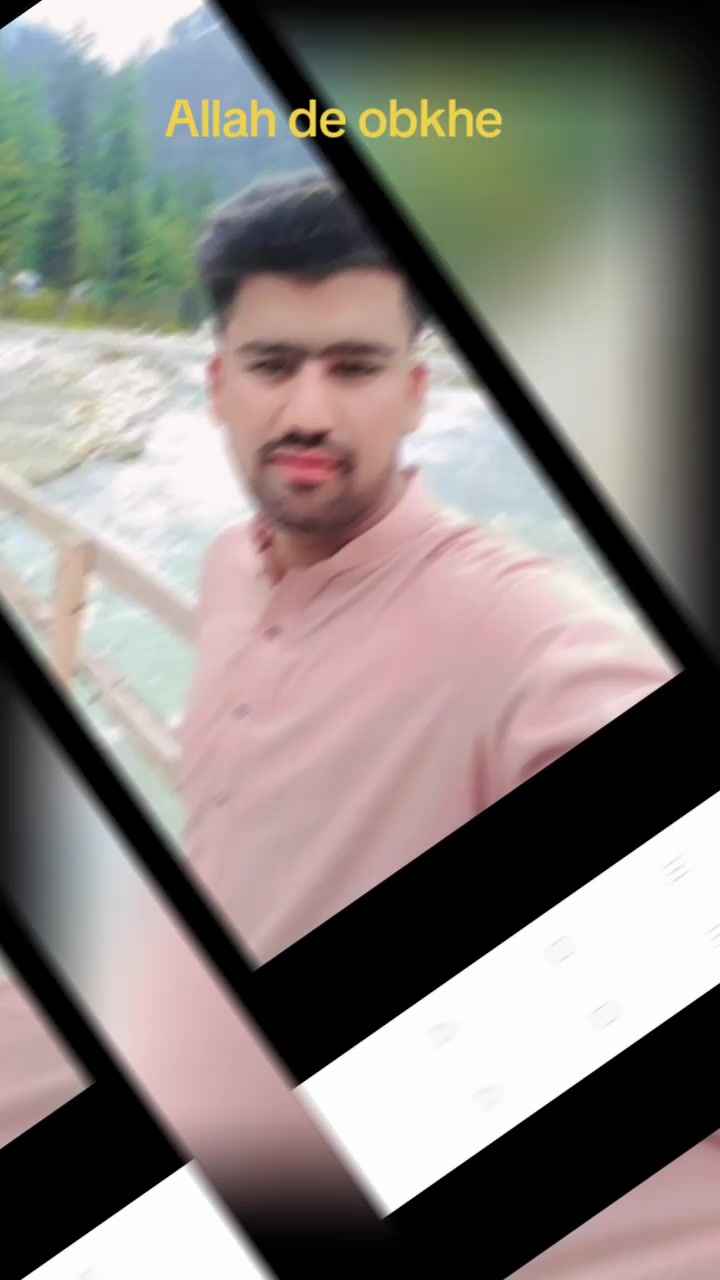 @Hamza Jani