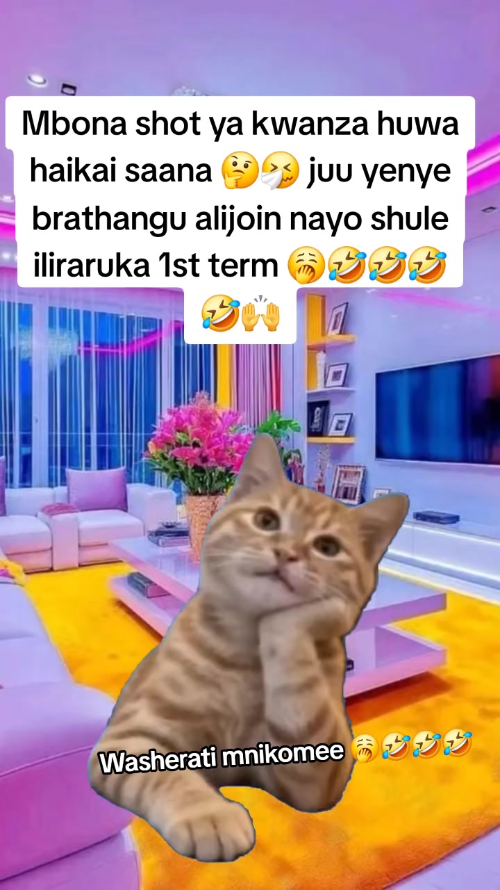 @Miss Vibez ๐ค๐๐