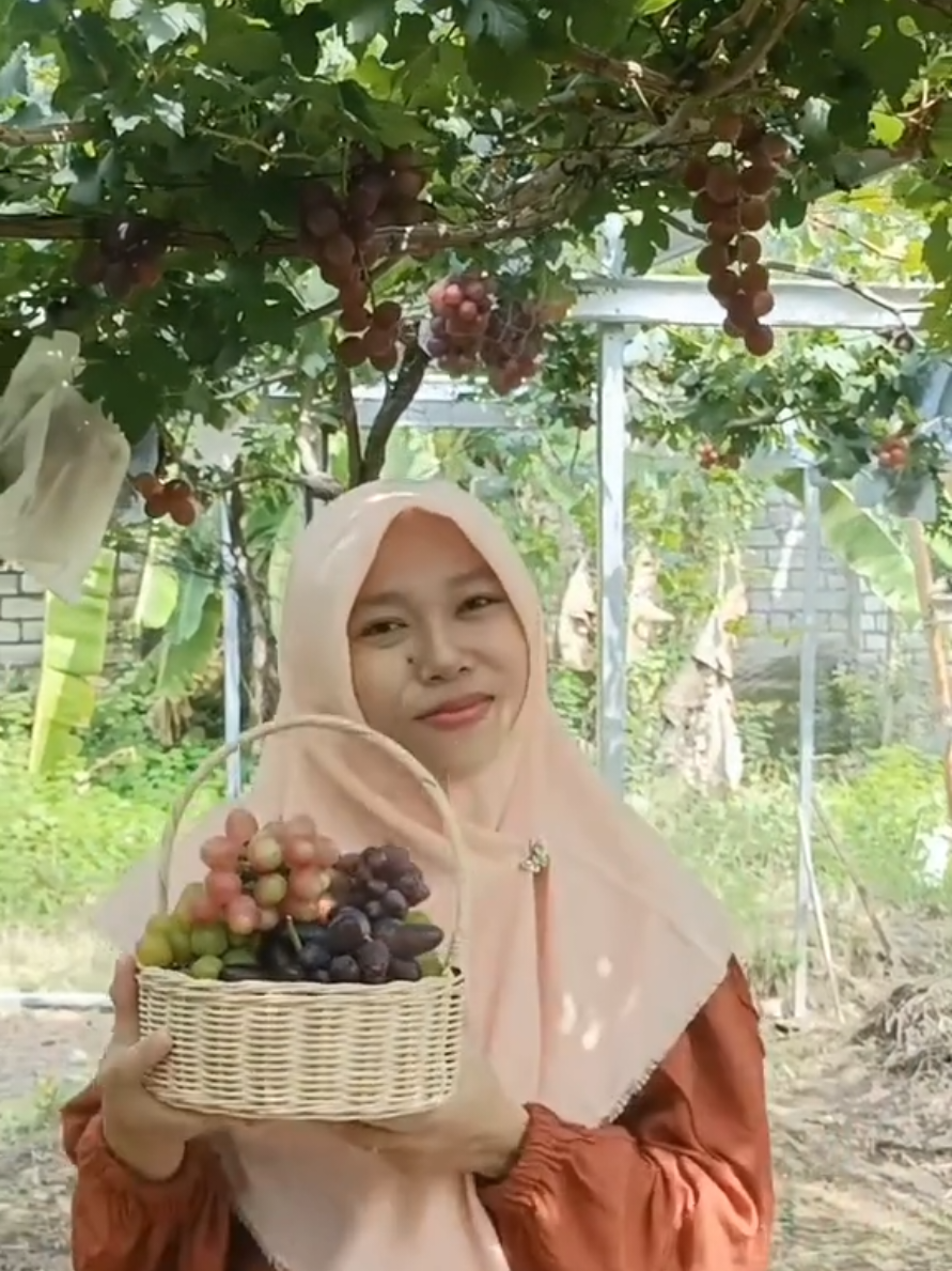 @DNA Garden