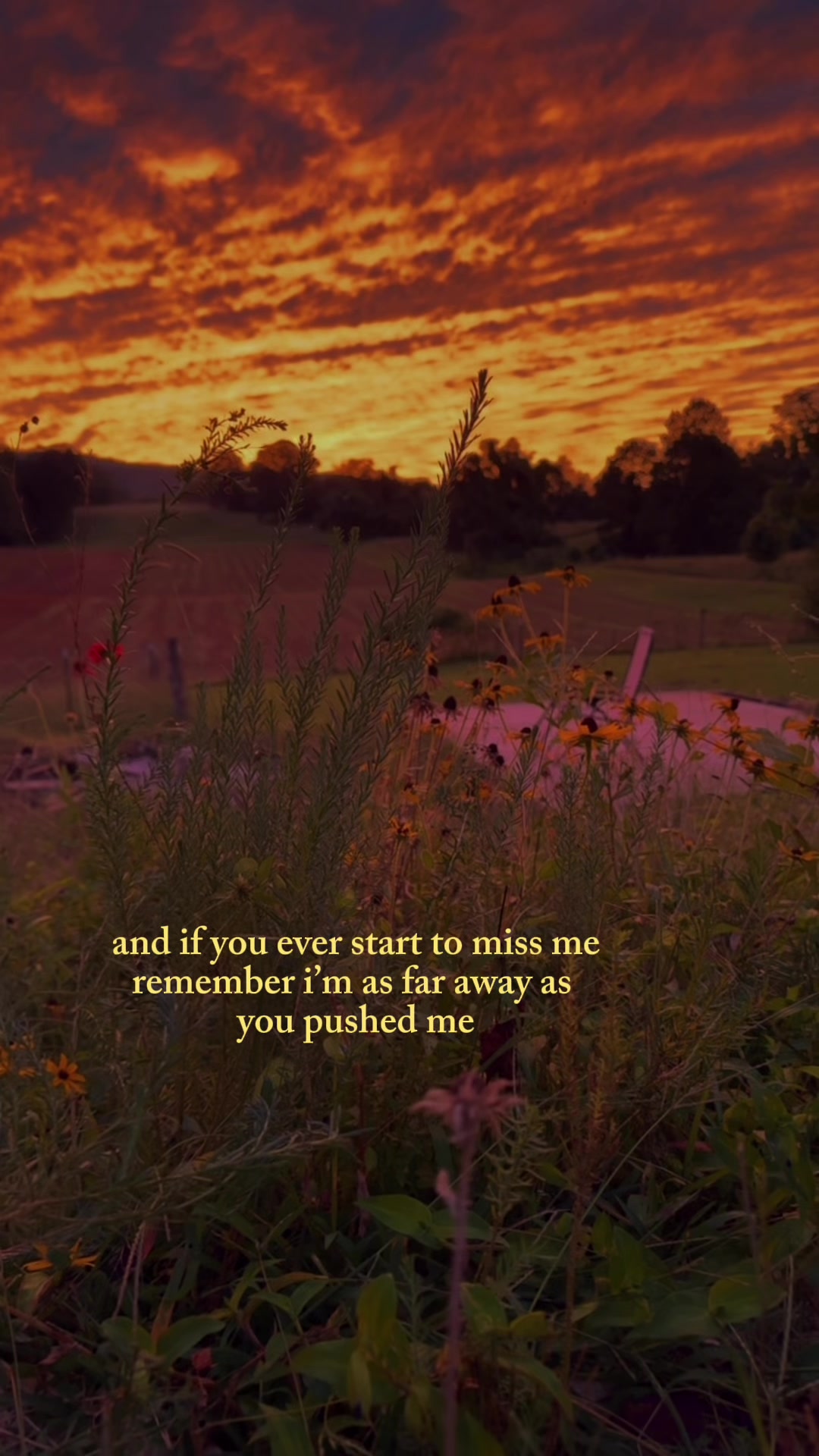 @✨Amanda Pierce✨