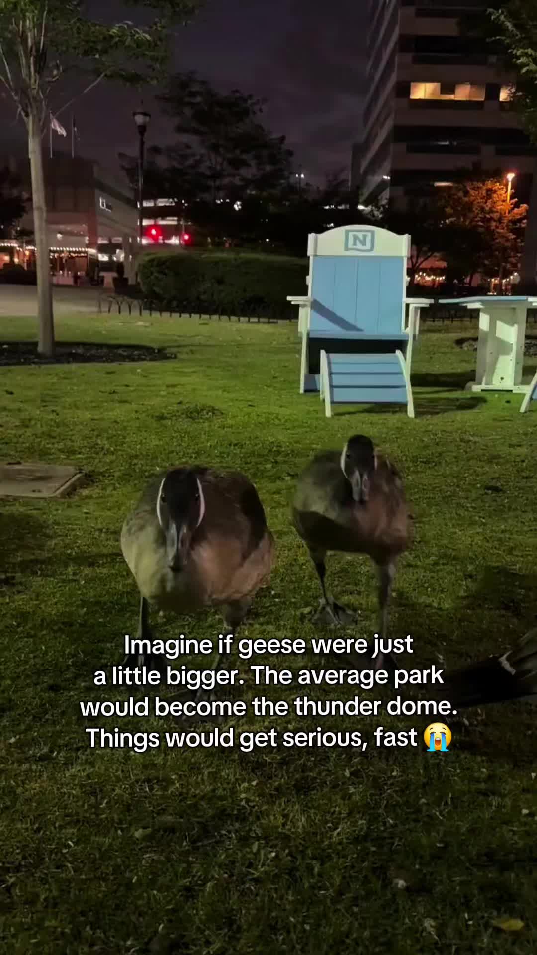 @Pawsitivitycore