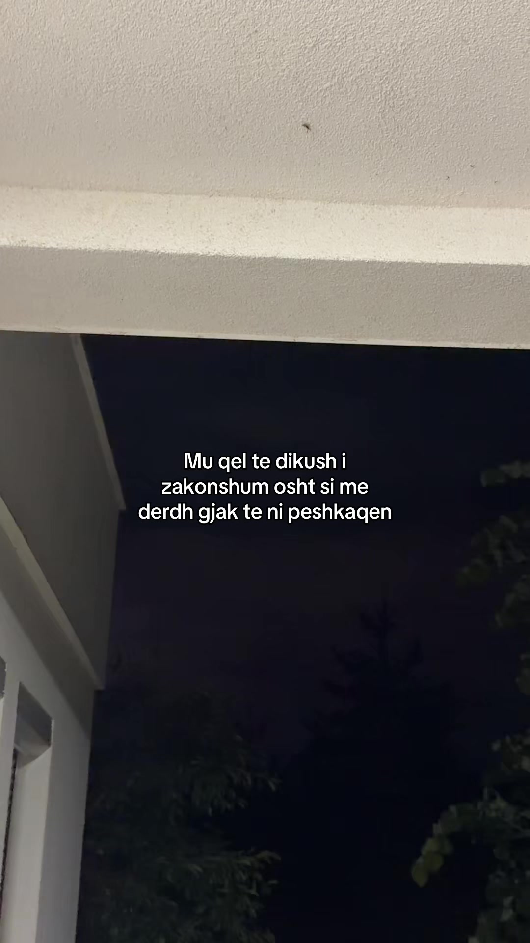 @LOYAL IDIOTT
