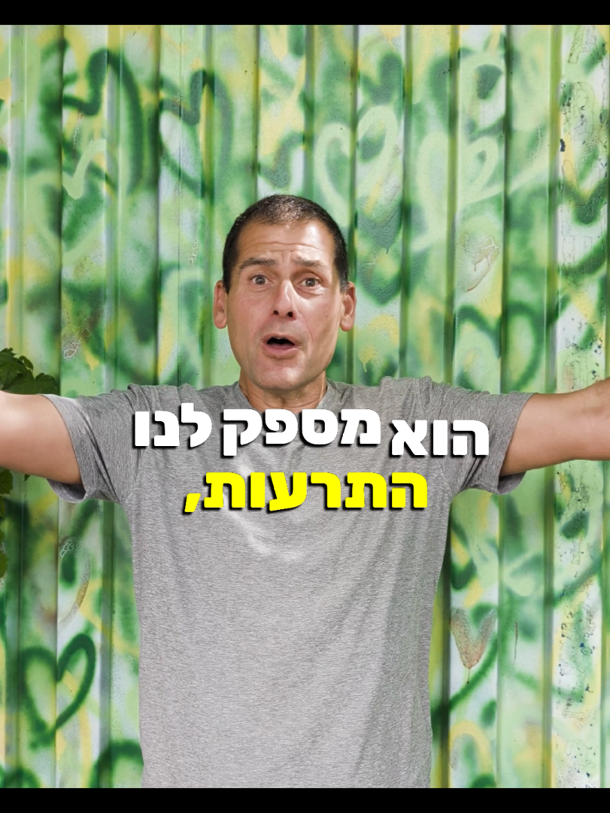 @Ami Dror
