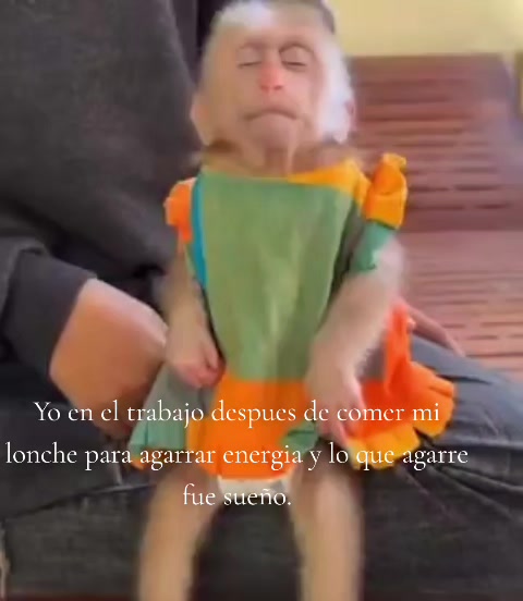 @Angel C.53