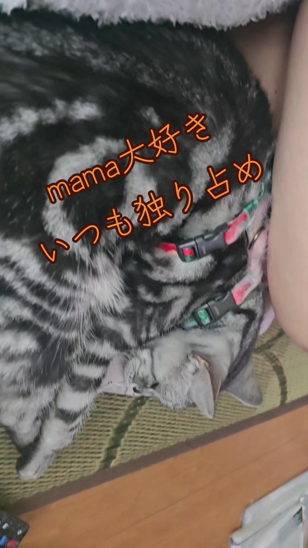 @🍮🍮🍒🏍³₃🏂🏐naomama