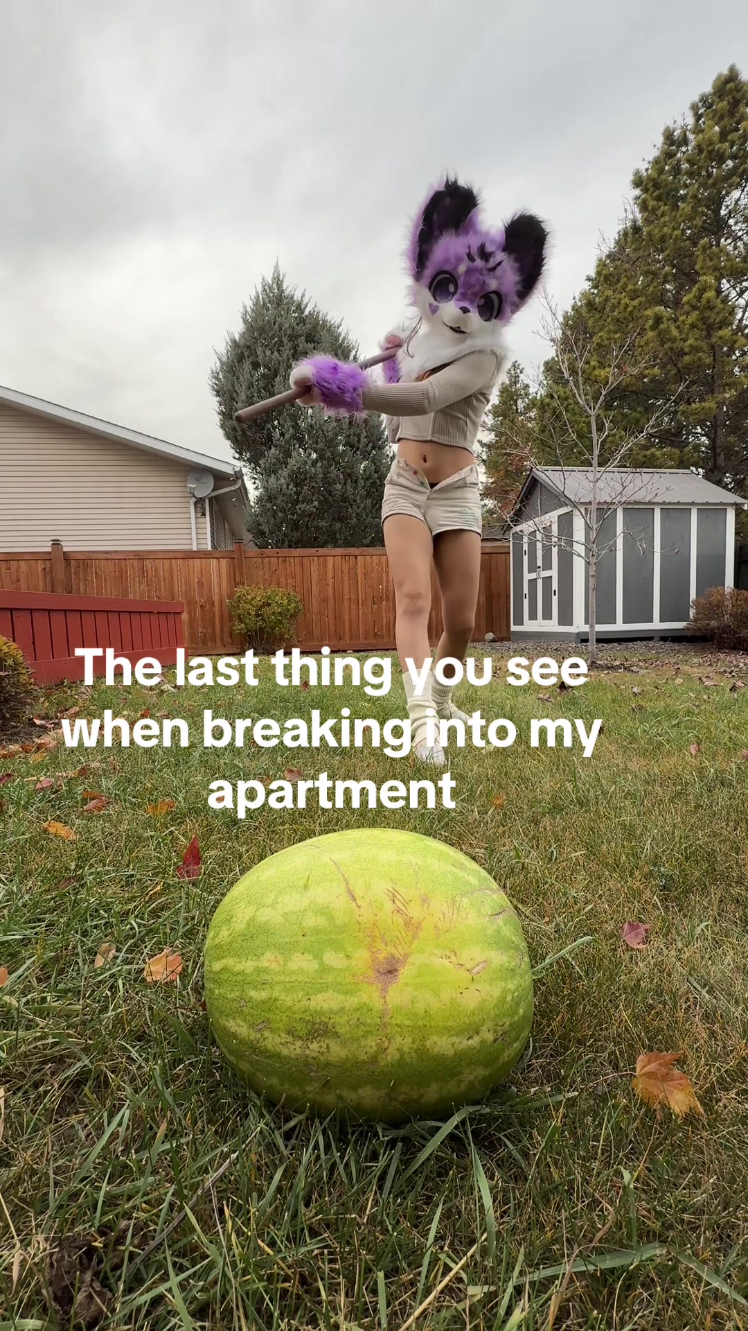 @caillazy
