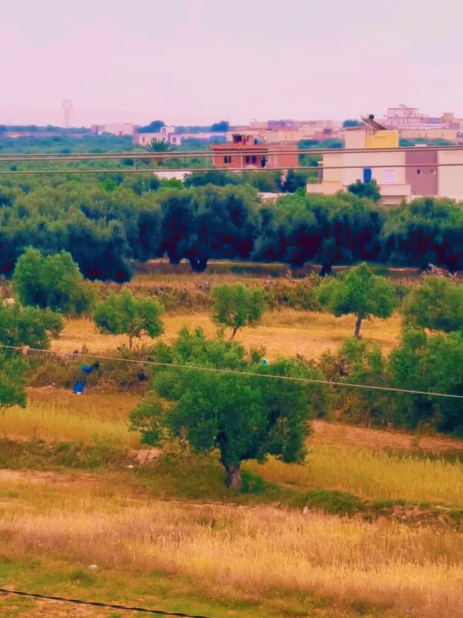@R&Oslash;_MĨ&Otilde;💌🇹🇳