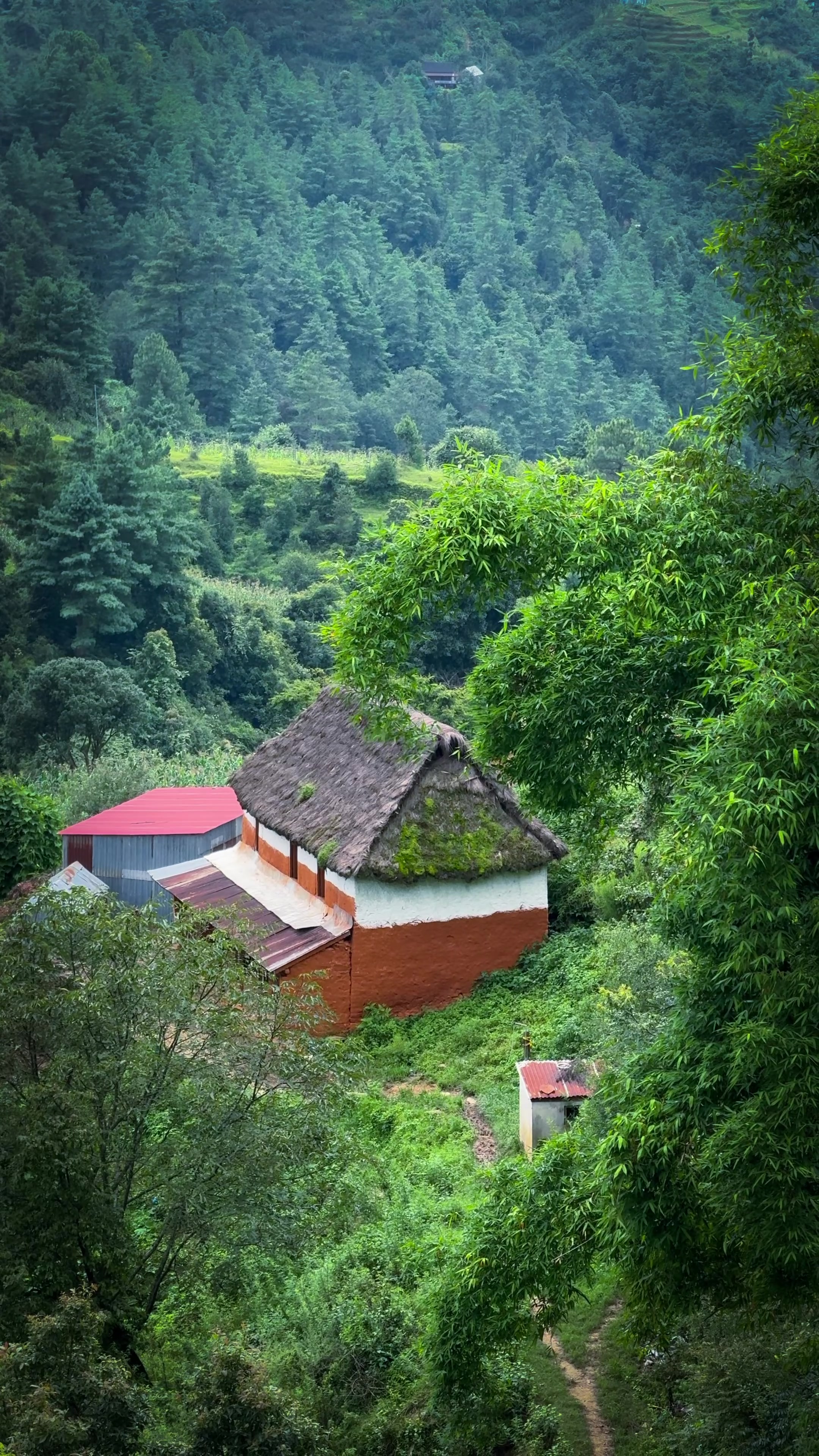 @Sudarshan Neupane