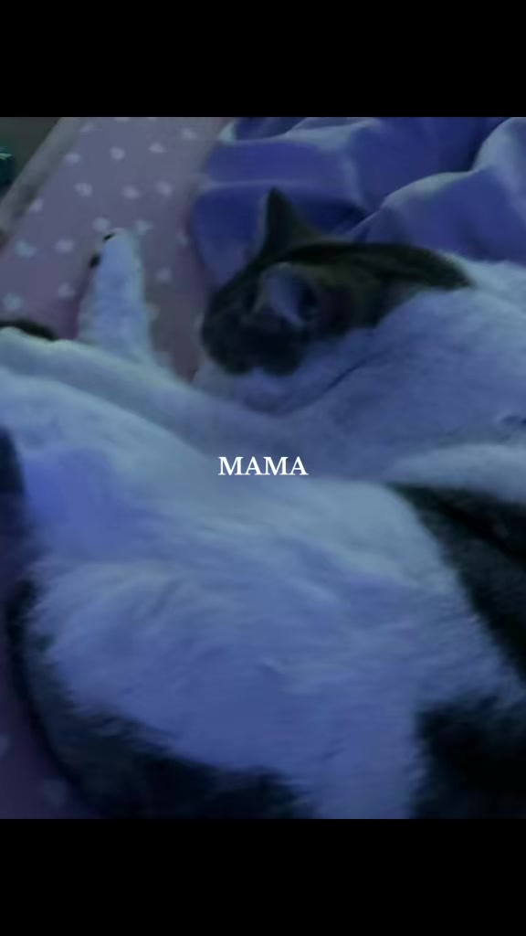 @♡☆𝓜𝓲𝓭𝓷𝓲𝓰𝓱𝓽☆♡