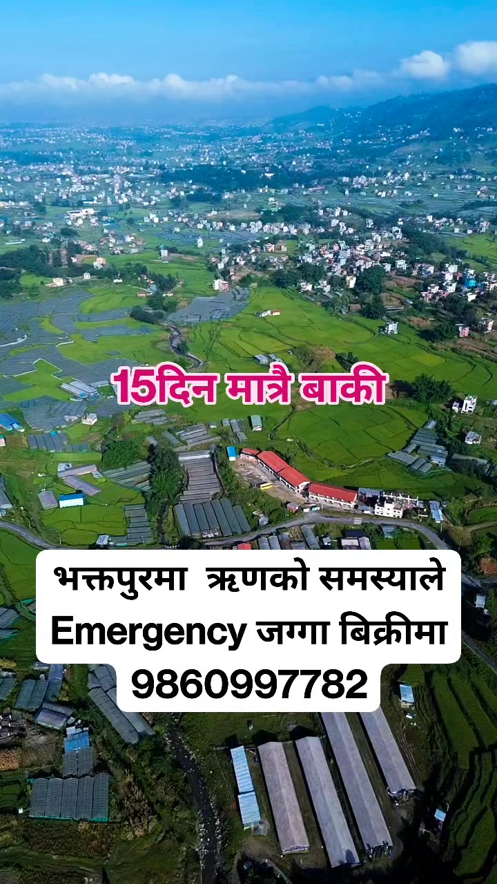 @Bikri Sewa