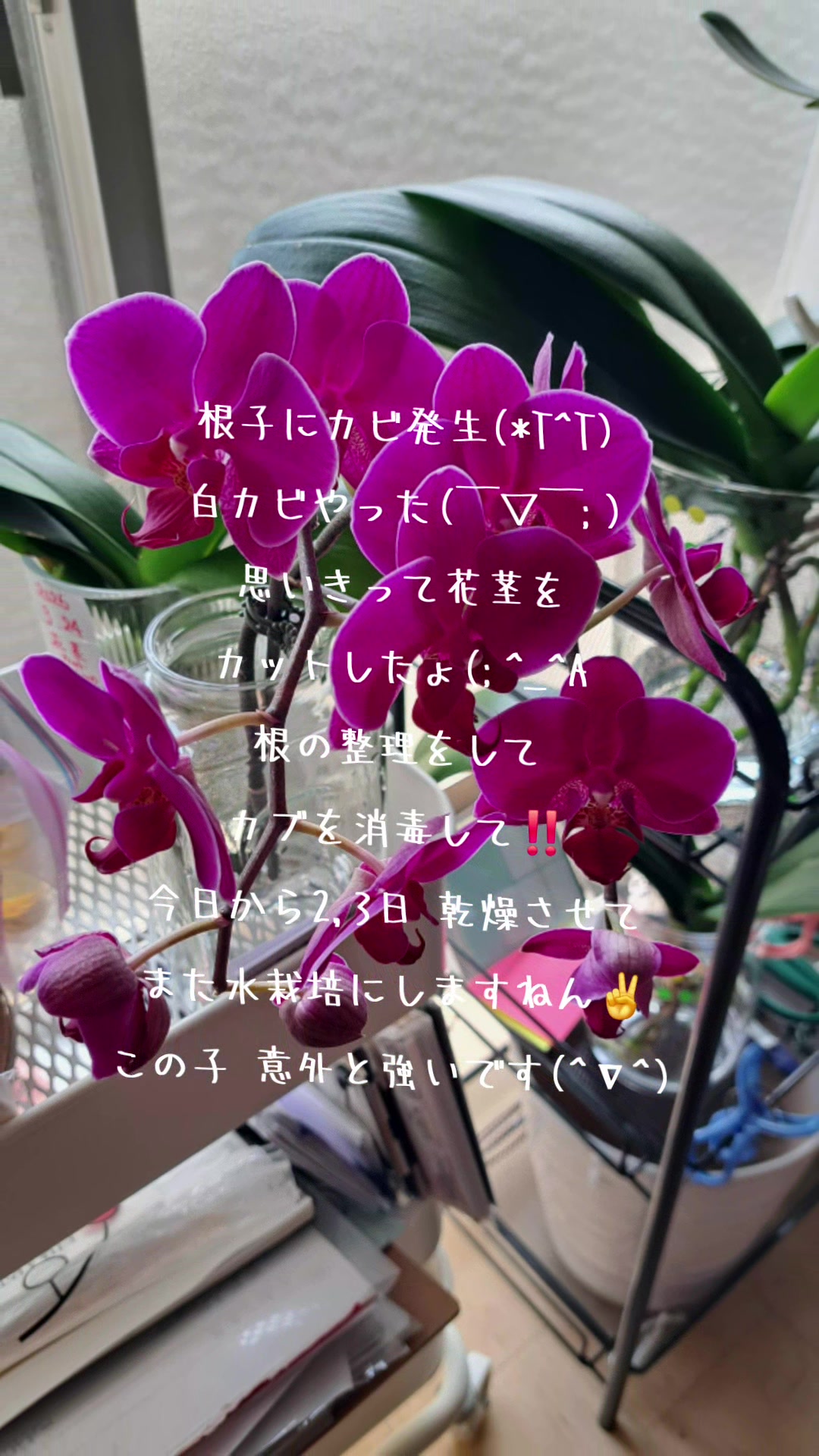 @🌊🌊波🌊🌊