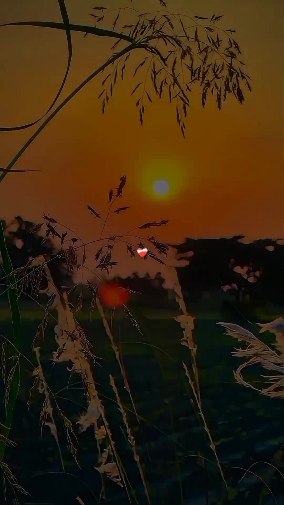 @अँकित यादव ♡ ❤️🩹