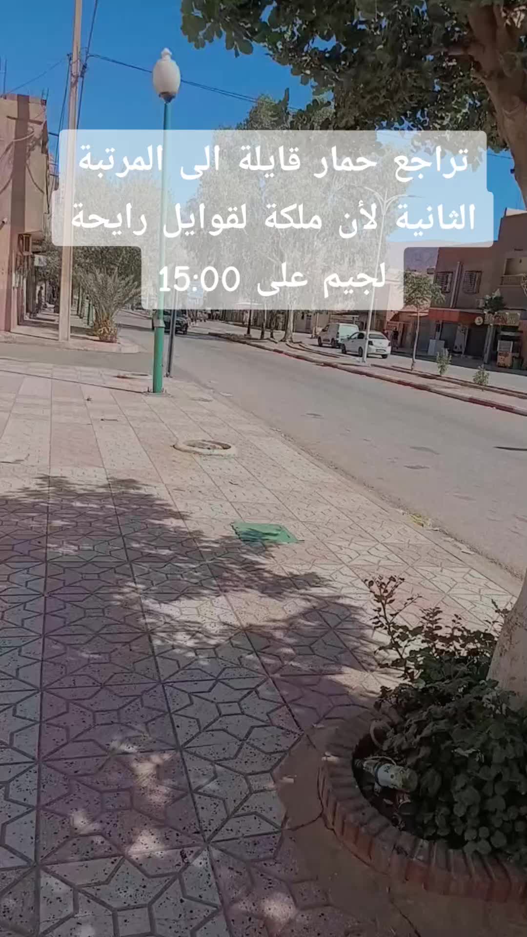 @bichooo🎀