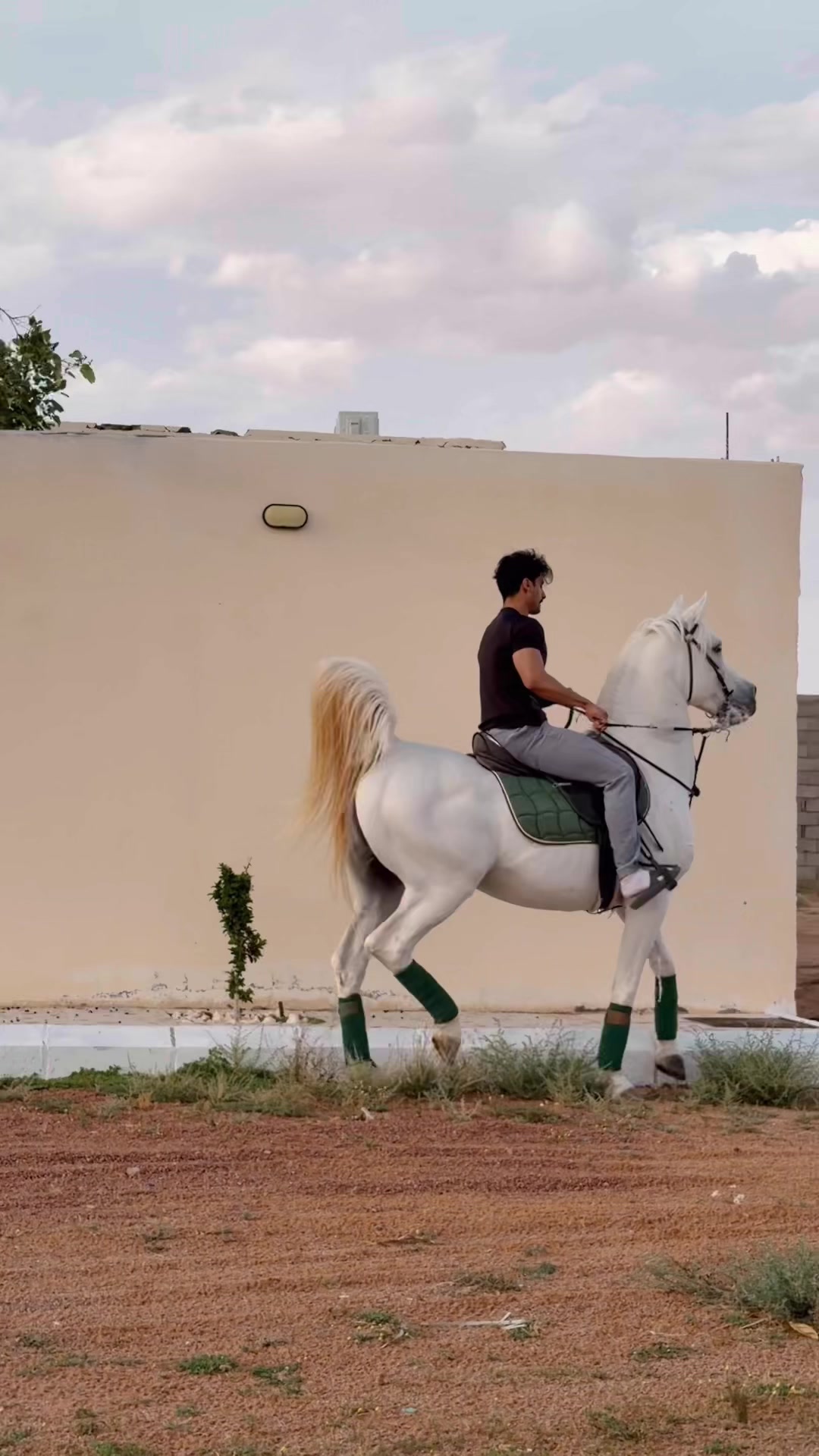 @عامر الشمري🐎