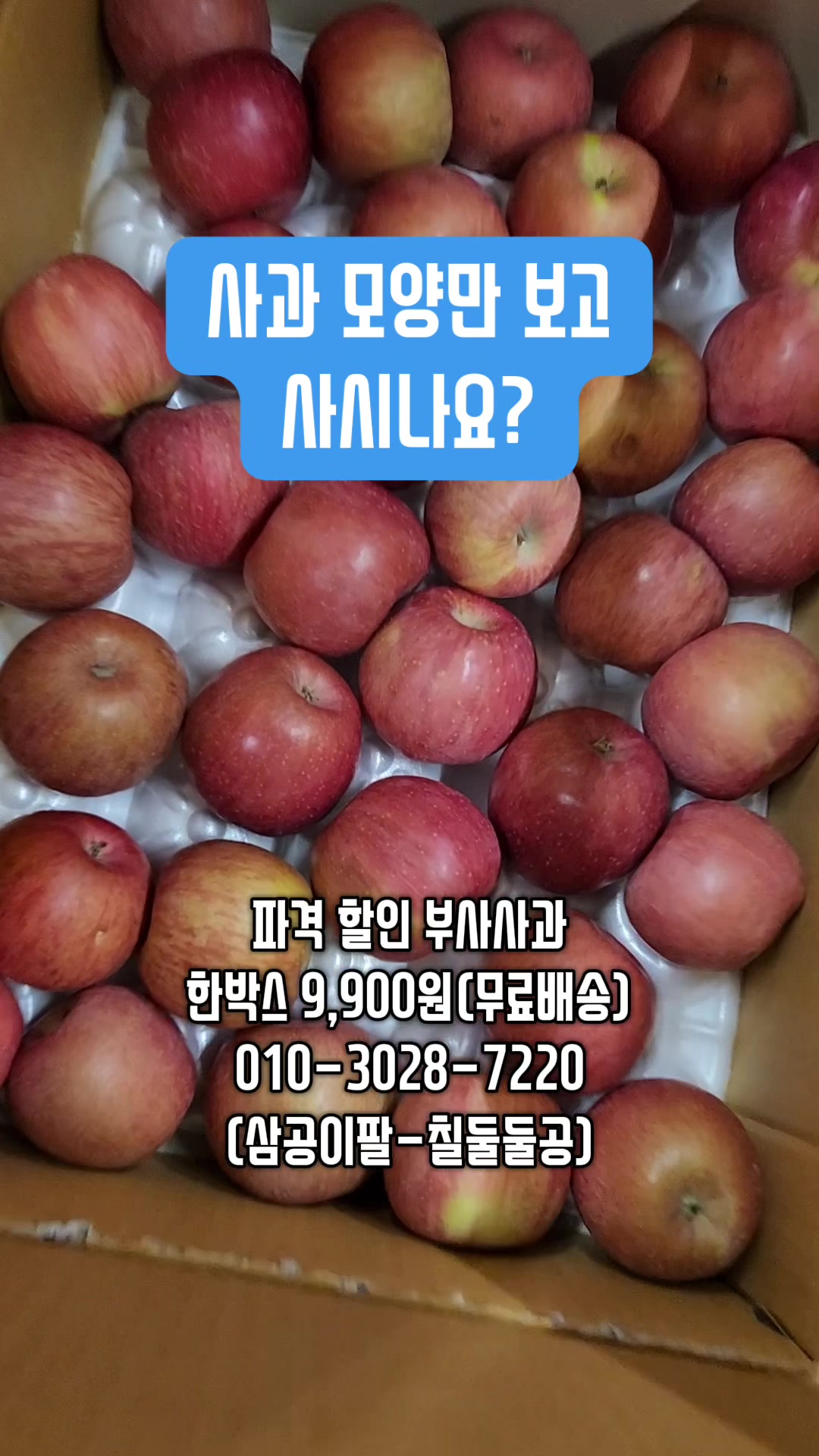 @한입의행복