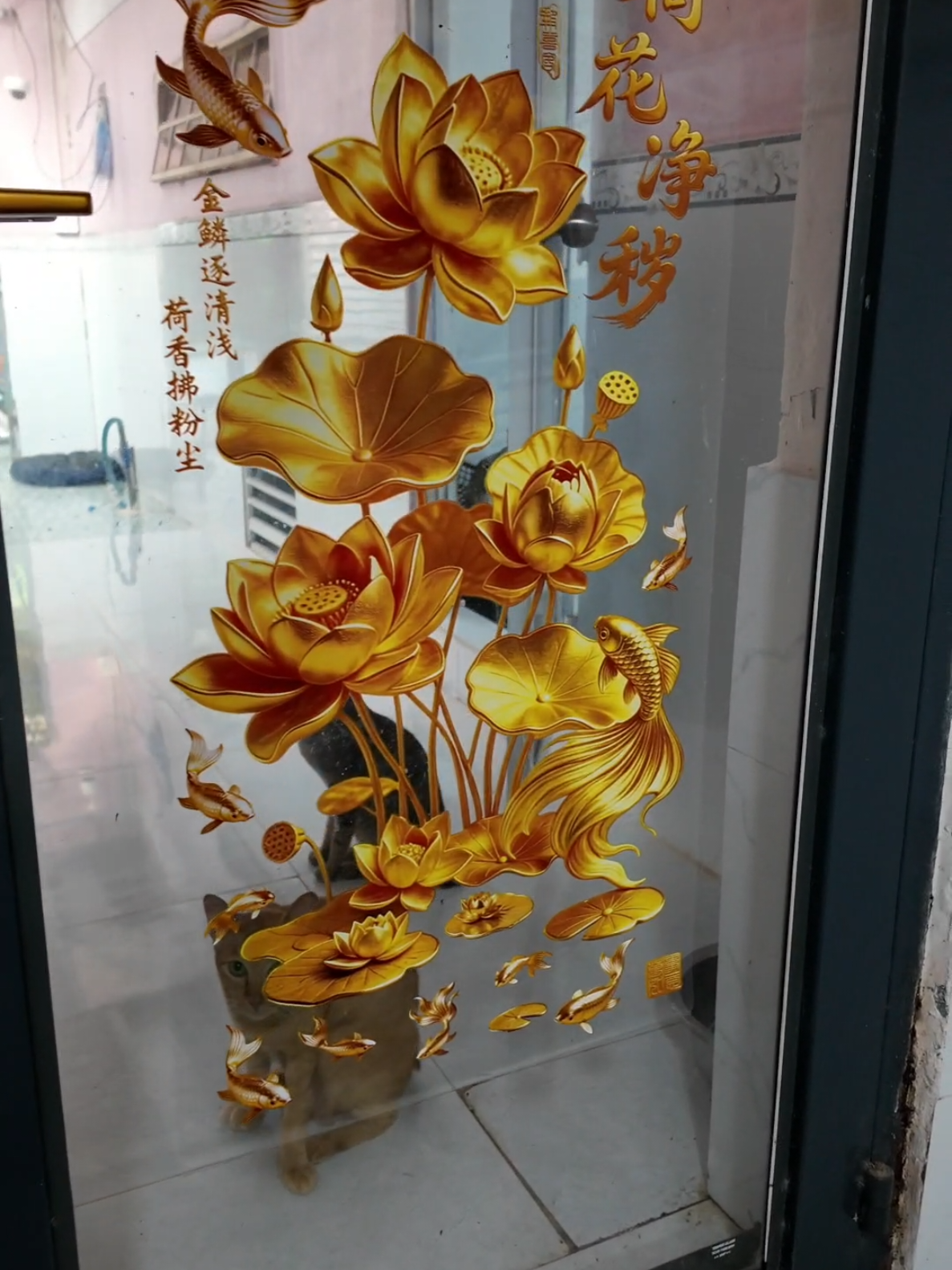@Khế th&uacute;i
