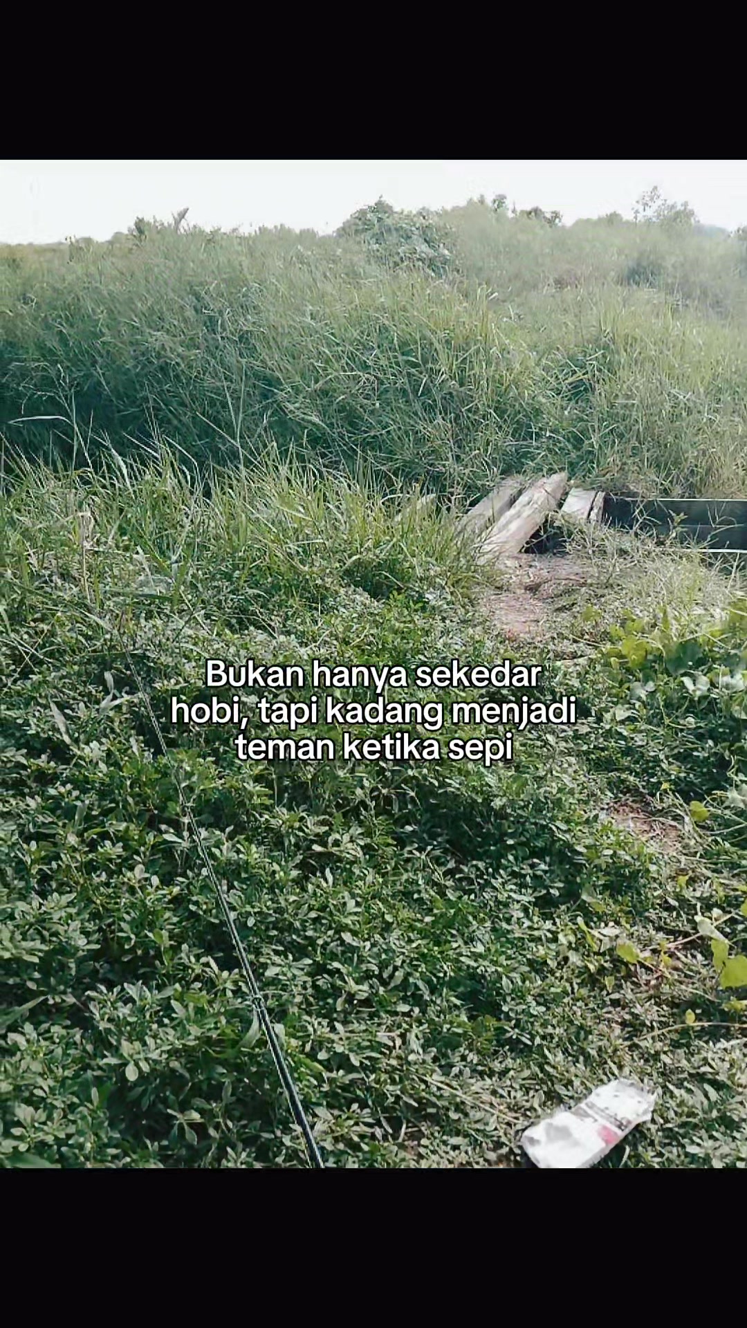 @Angler Rumab🗿