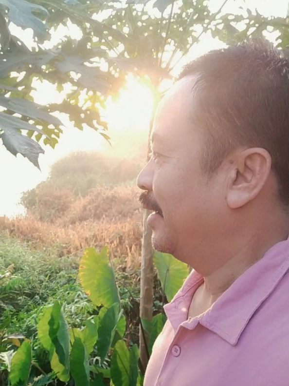 @Arif Akhadi