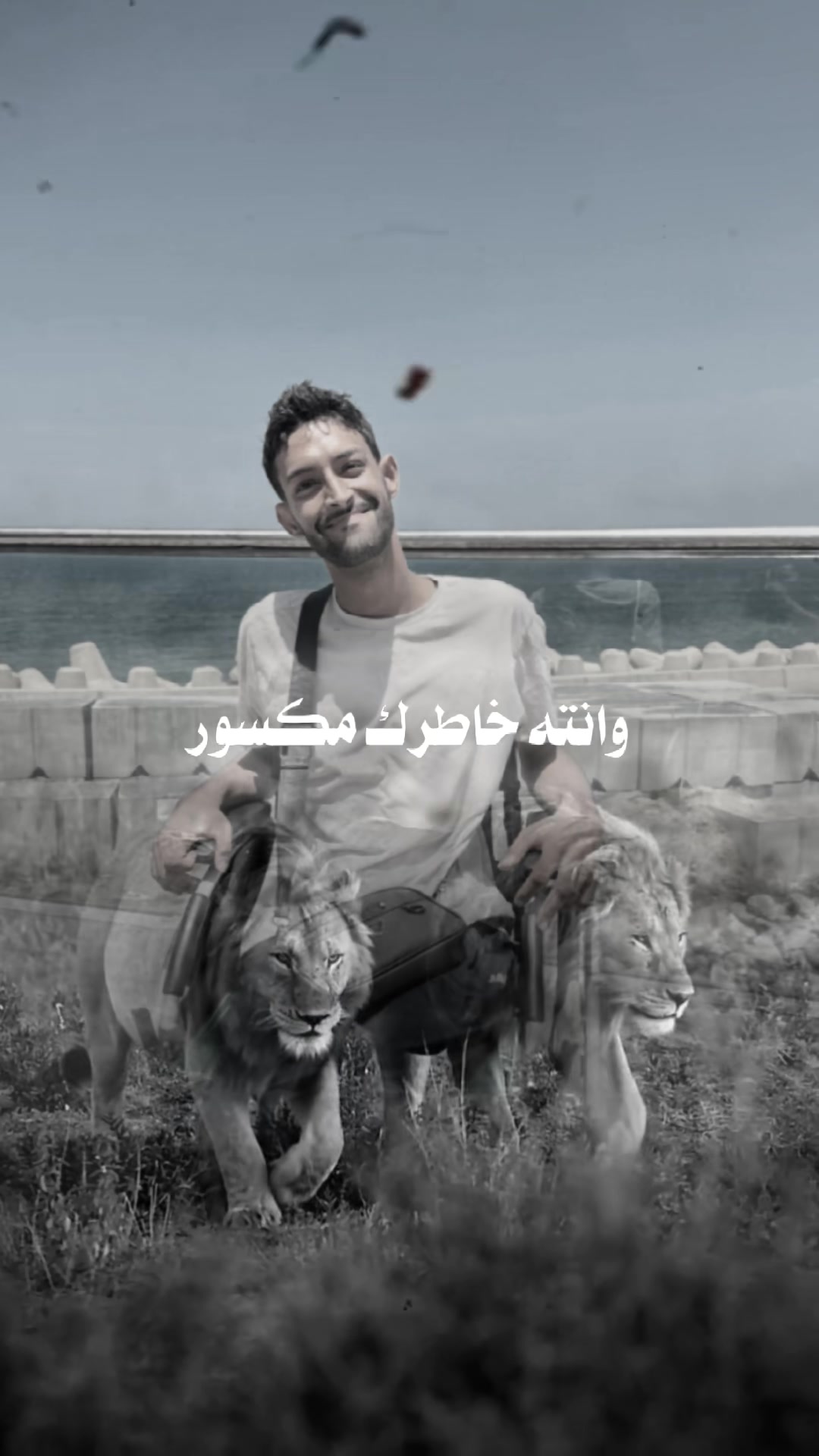 @youssef♿️