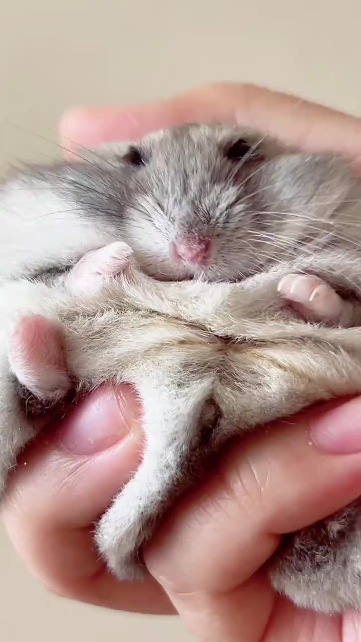 @𝒆𝒍𝒍𝒂✨