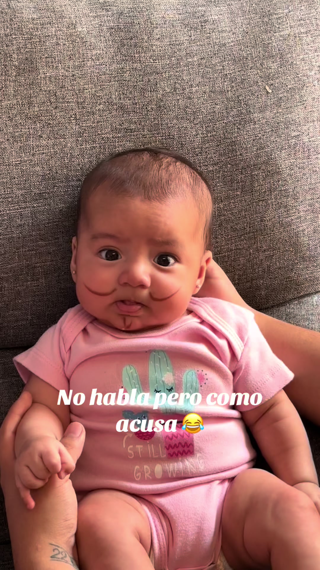 @fernandareyes672