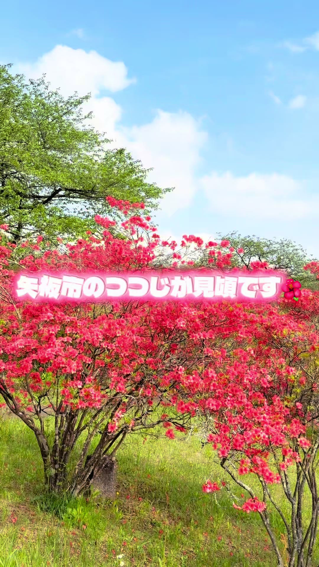@矢板市